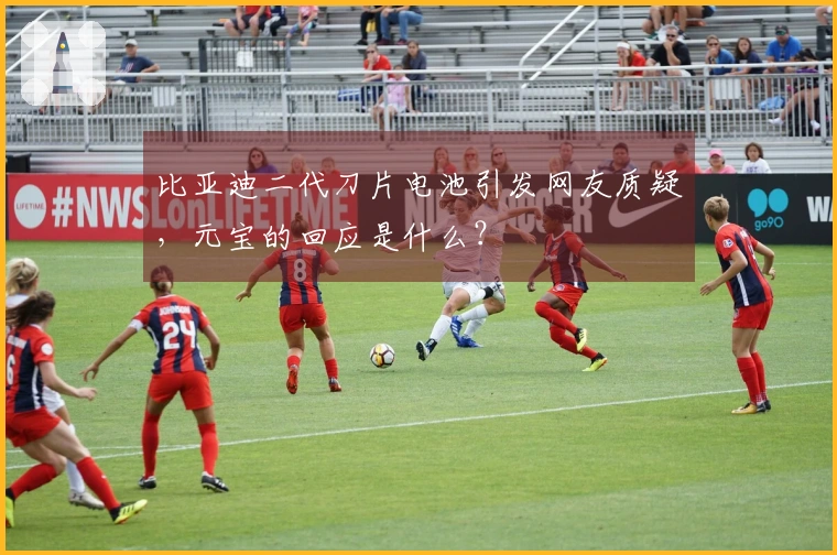 比亚迪二代刀片电池引发网友质疑，元宝的回应是什么？